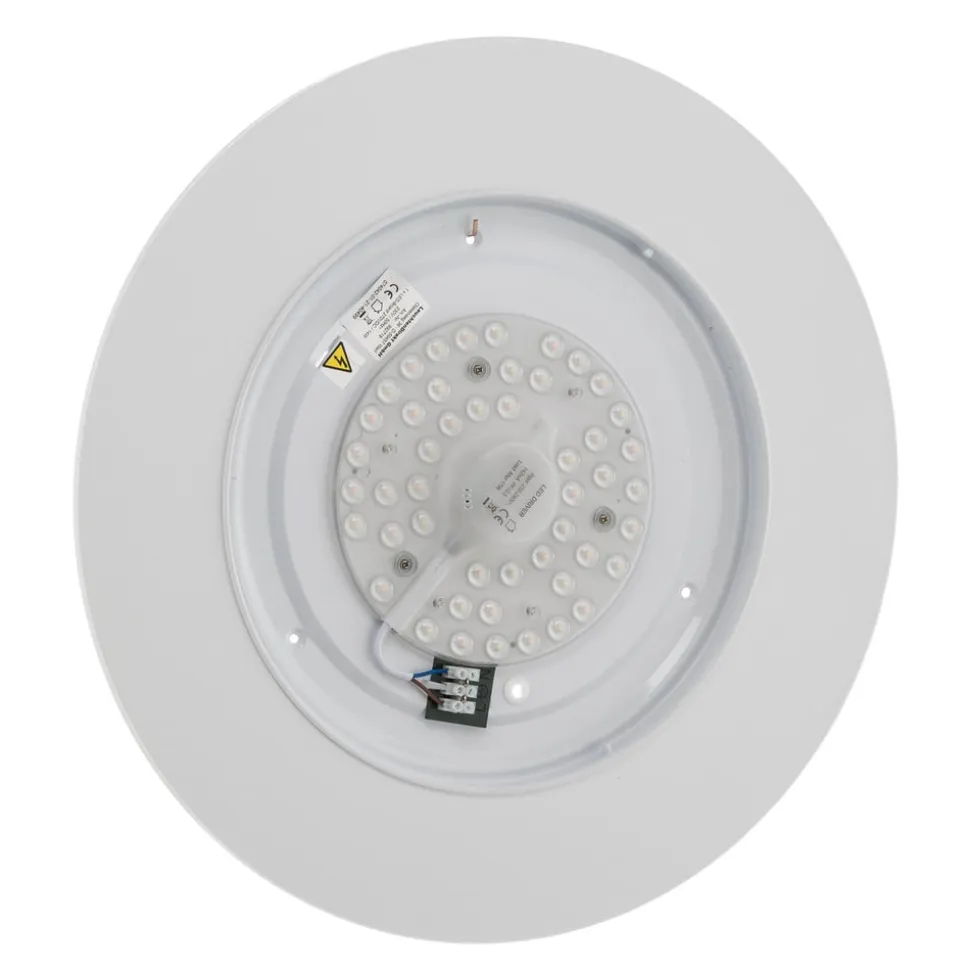 LED-loftslampe Wilderness Starlight