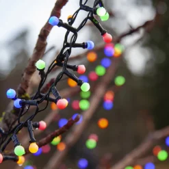 LED-lyskæde Berry Mini med timerfunktion farverige