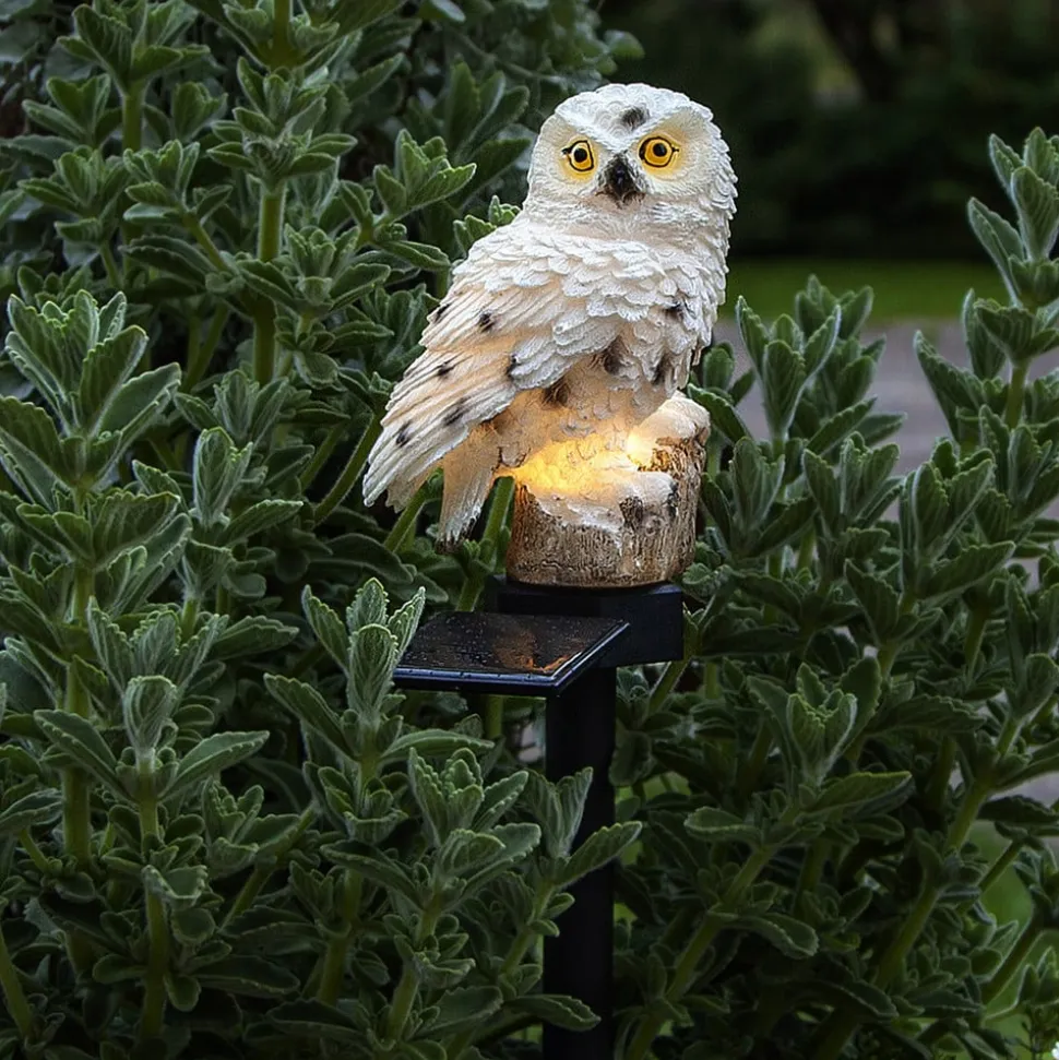 LED-solcellelampe Owl med jordspyd