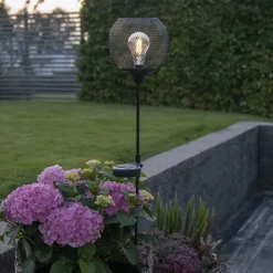 LED-solcellelampe Suinlight med jordspyd
