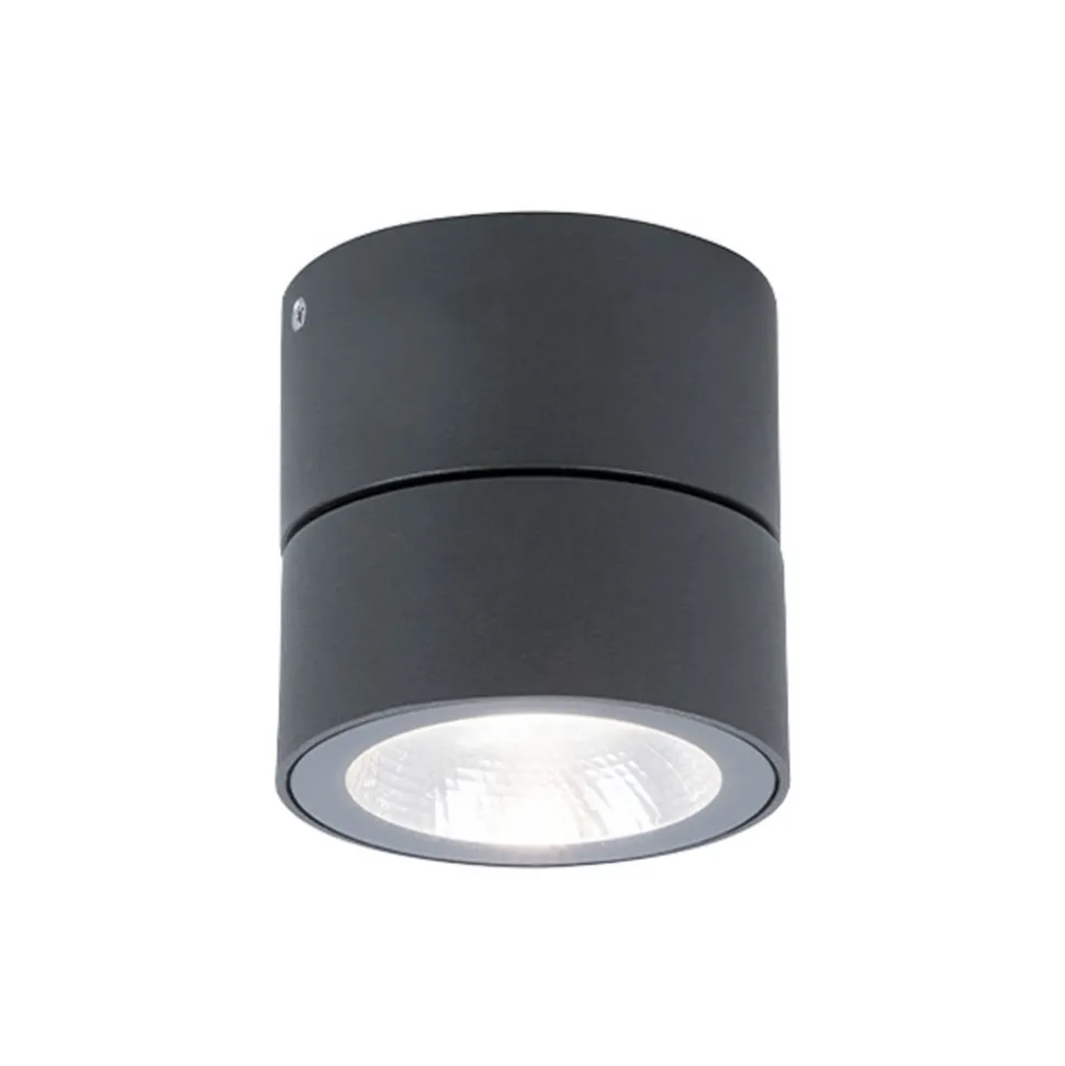 LED-udendørs loftspot Andria, mørkegrå, Ø 9 cm, metal