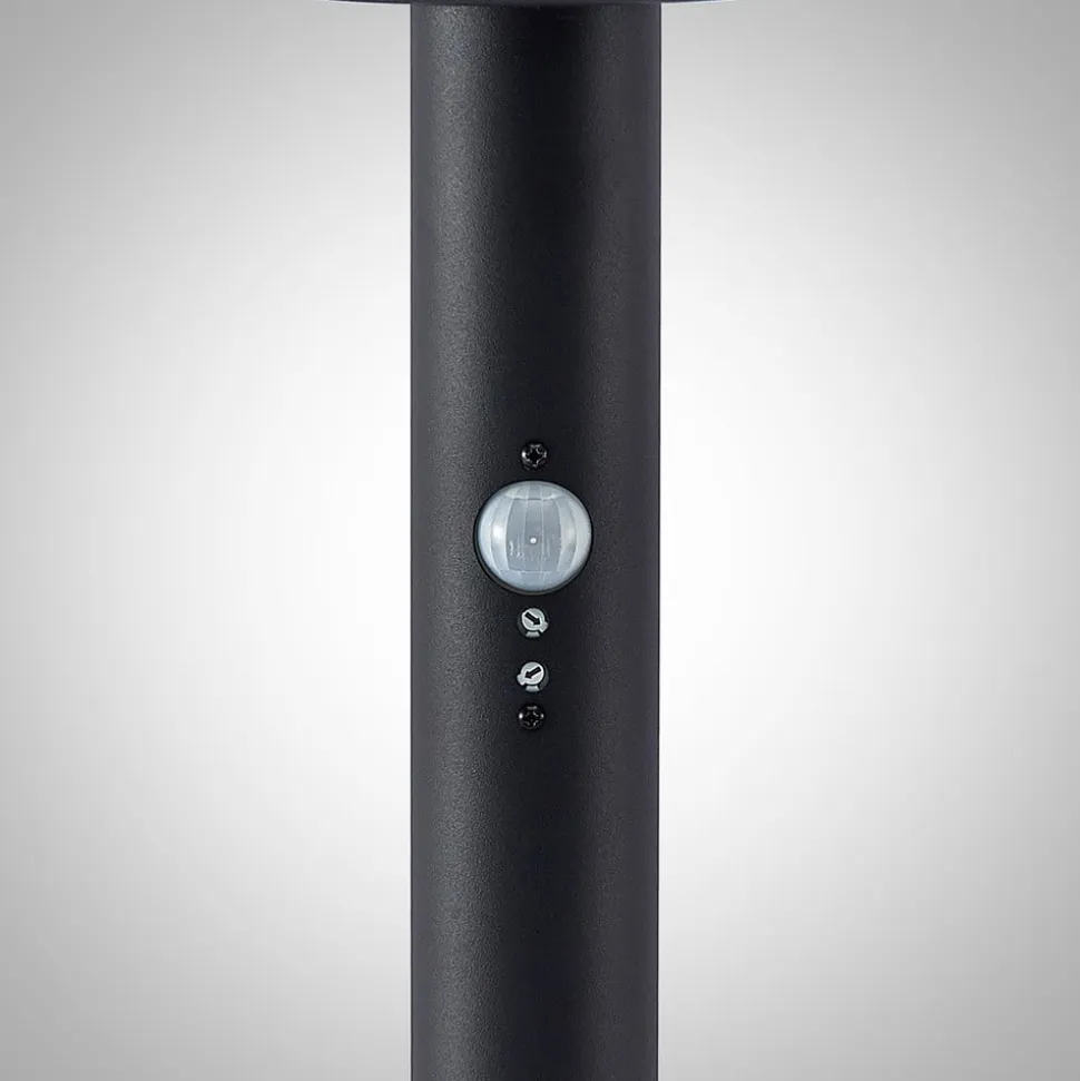 Lindby Gregory LED-vejlampe, 76 cm, sensor, mørkegrå, IP44
