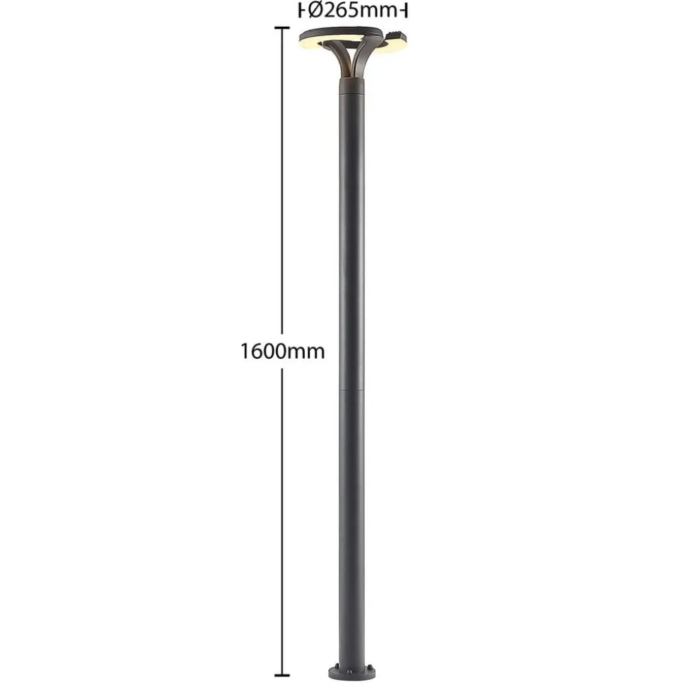 Lindby LED-udendørslampe Keily, cirkel, antracit, metal