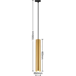 Lindby pendellampe Linaro, 40 cm, guld, 1-faset, GU10