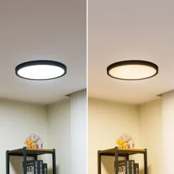 Lindby Smart LED loftlampe Pravin, Ø 40 cm, CCT, sort