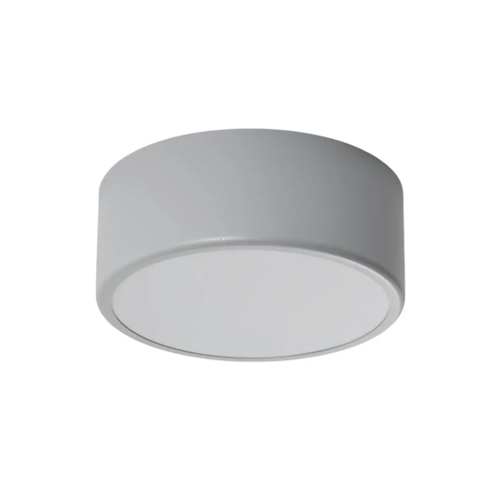 Loftlampe Cleo, Ø 20 cm, IP54, grå, metal, E27