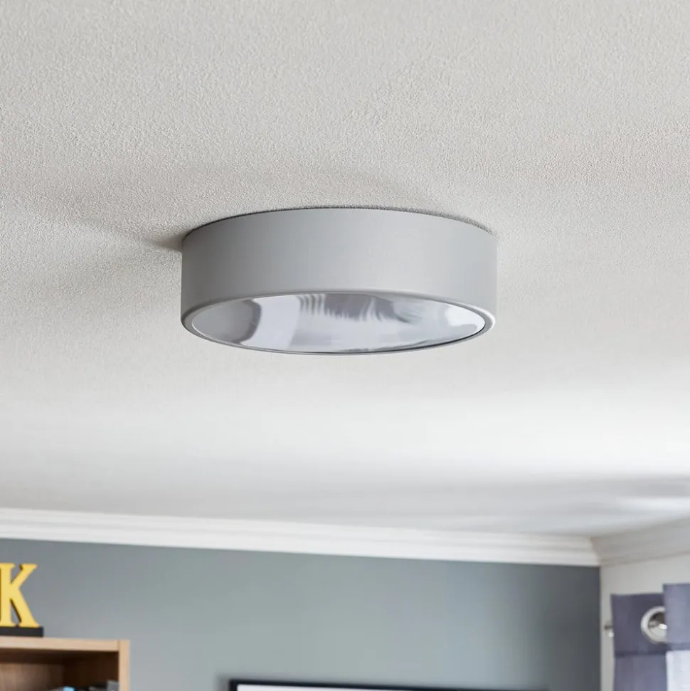 Loftlampe Cleo 300, IP54, Ø 30 cm grå
