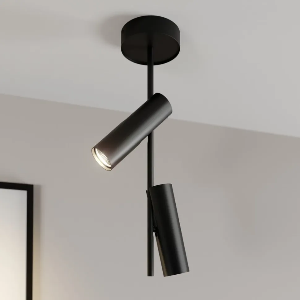 Loftspot Leda 2, 2 lyskilder, sort