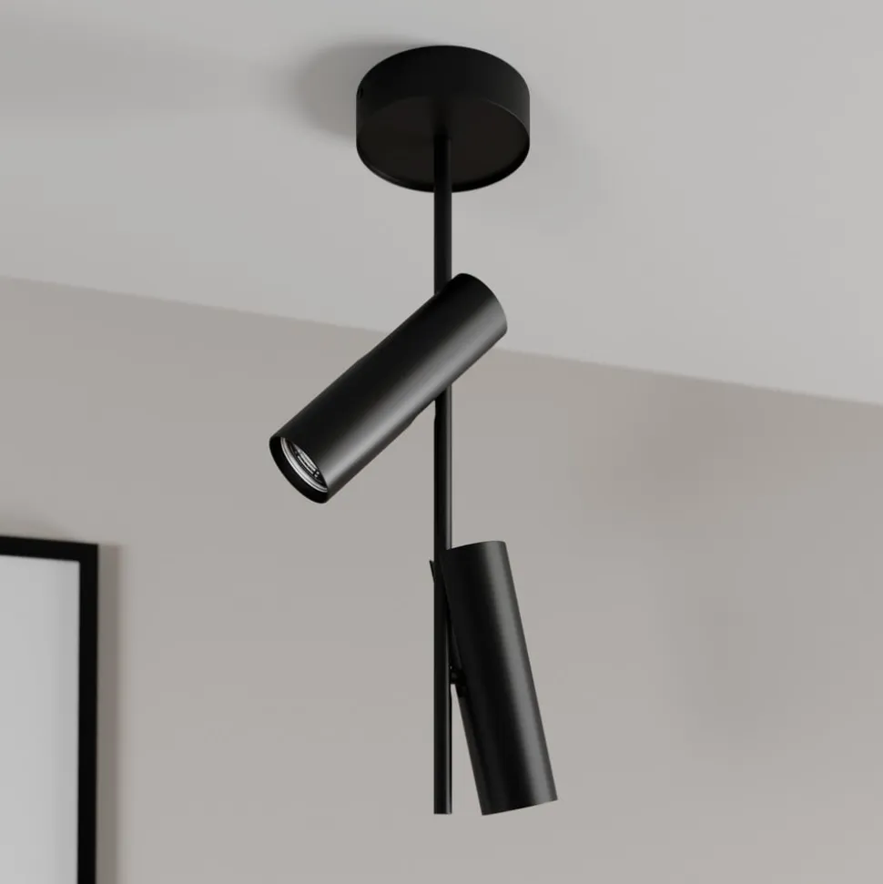 Loftspot Leda 2, 2 lyskilder, sort