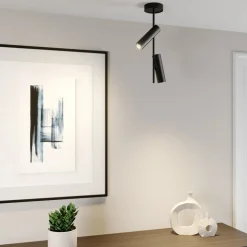 Loftspot Leda 2, 2 lyskilder, sort