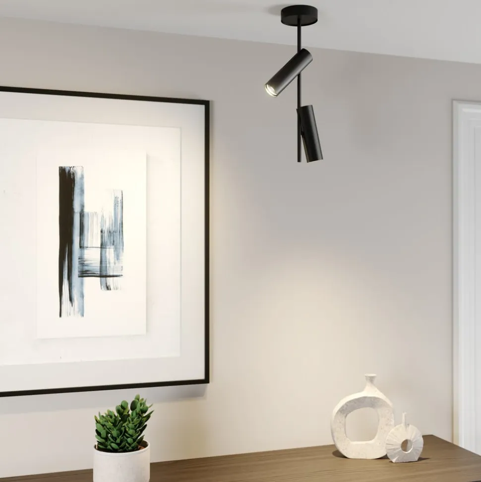 Loftspot Leda 2, 2 lyskilder, sort