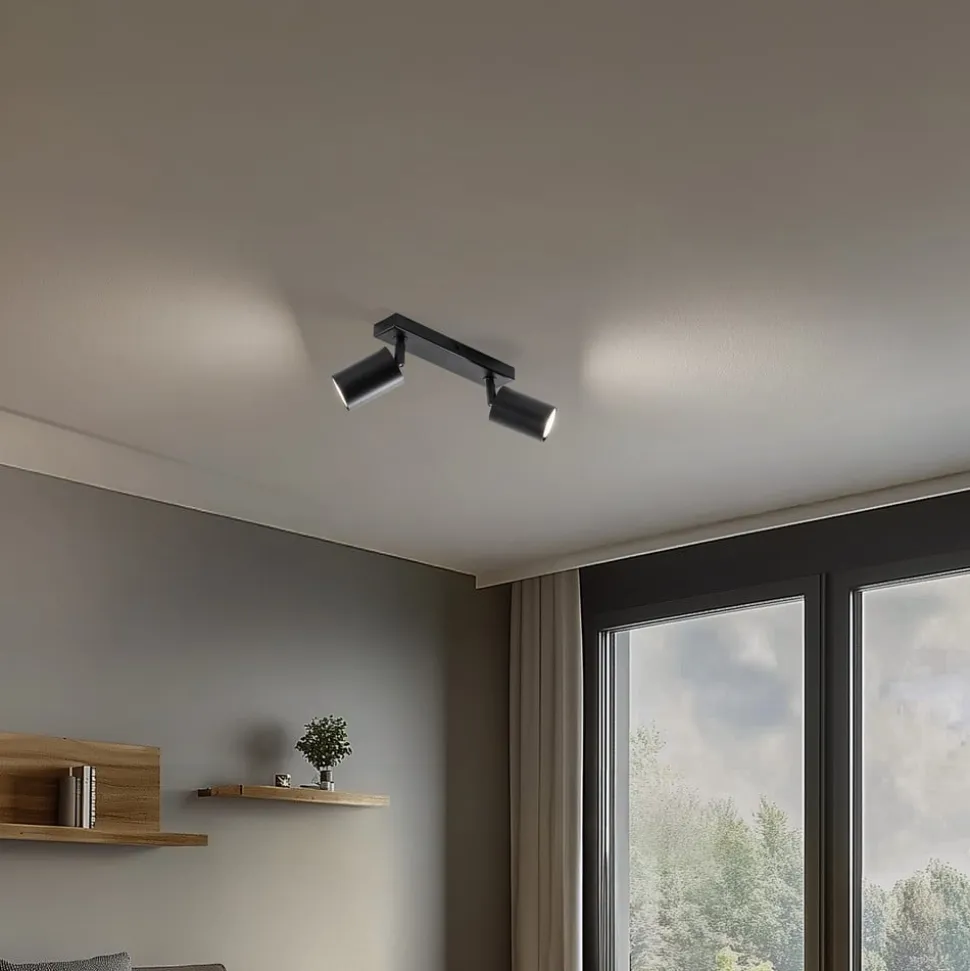 Loftspot Zoom, 2 lyskilder, sort