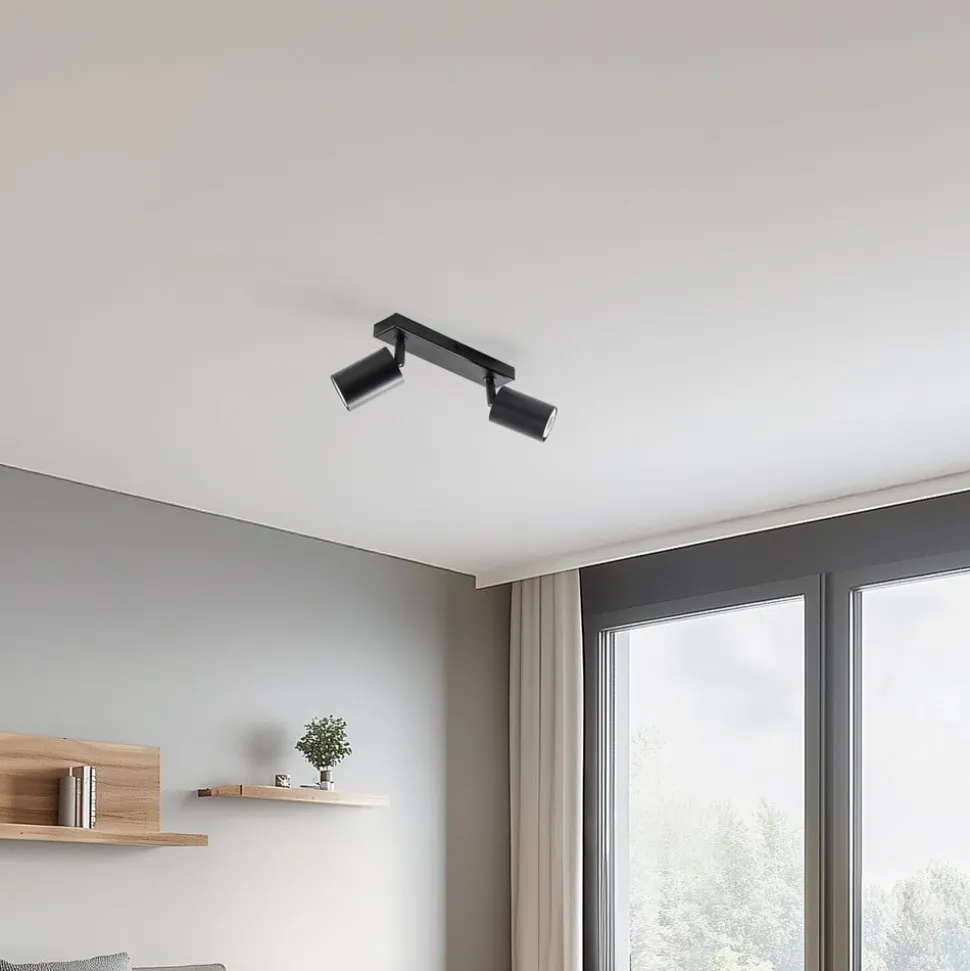 Loftspot Zoom, 2 lyskilder, sort