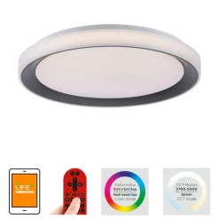 LOLA Smart Disc LED-loftlampe, sort/hvid, RGBW