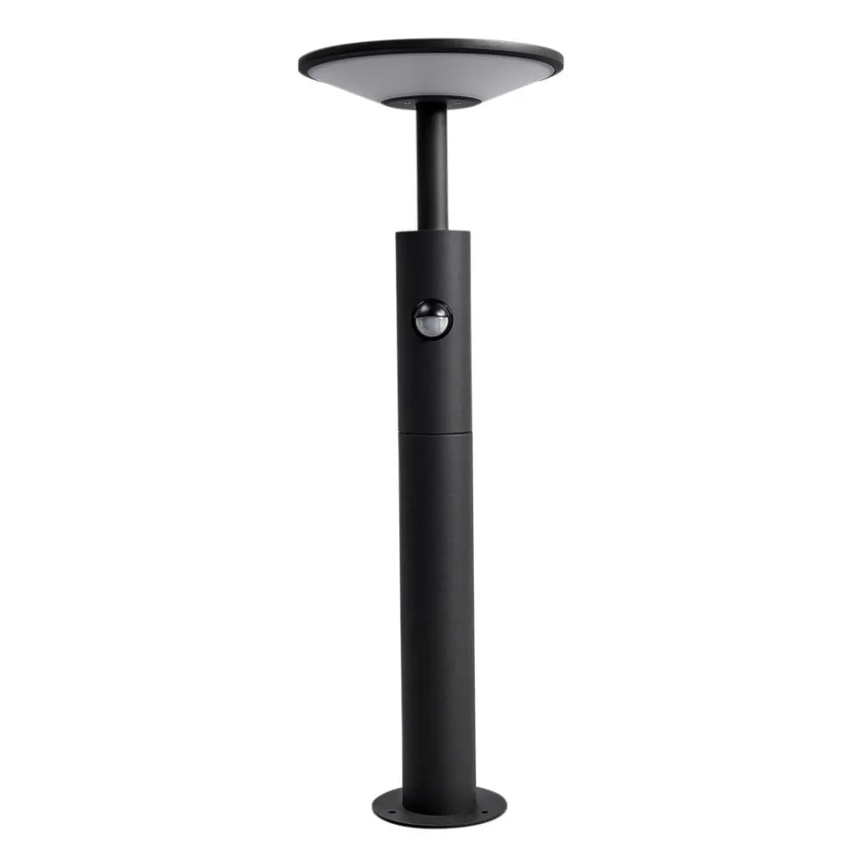 Lucande Fenia LED-vejlampe, 60 cm, sensor, IP54, antracit