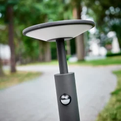 Lucande Fenia LED-vejlampe, 60 cm, sensor, IP54, antracit
