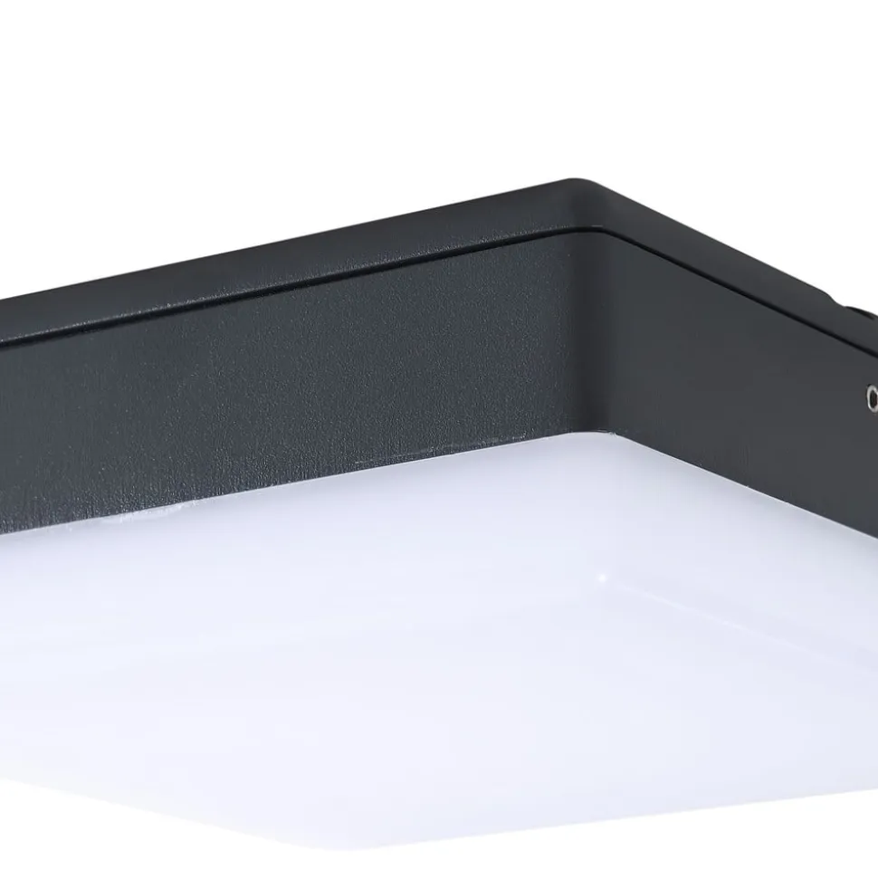 Lucande LED-loftlampe Thilo, 16 cm, antracit, sensor, IP54