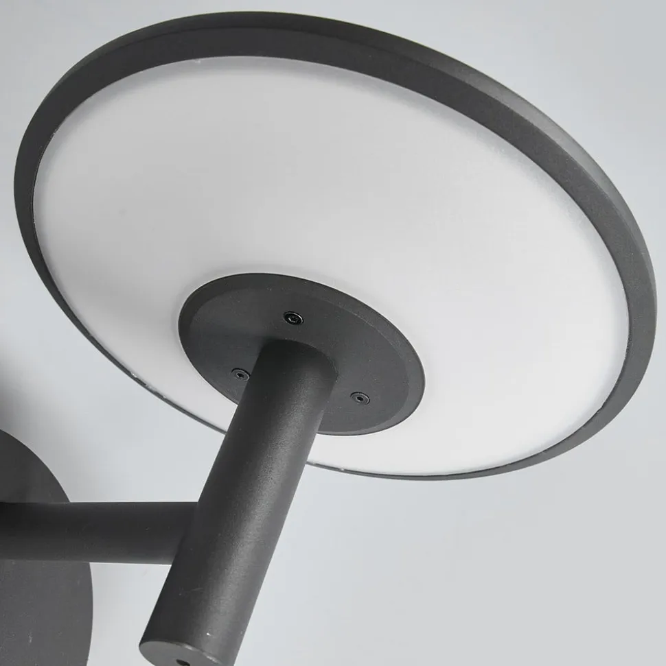 Lucande udendørs LED-væglampe Fenia, antracit, aluminium, IP65