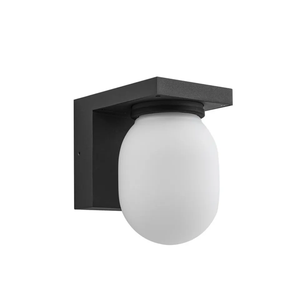 Lucande udendørs væglampe Ovaali, glas, mørkegrå, IP65