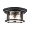 Merrill udendørs loftslampe i sort