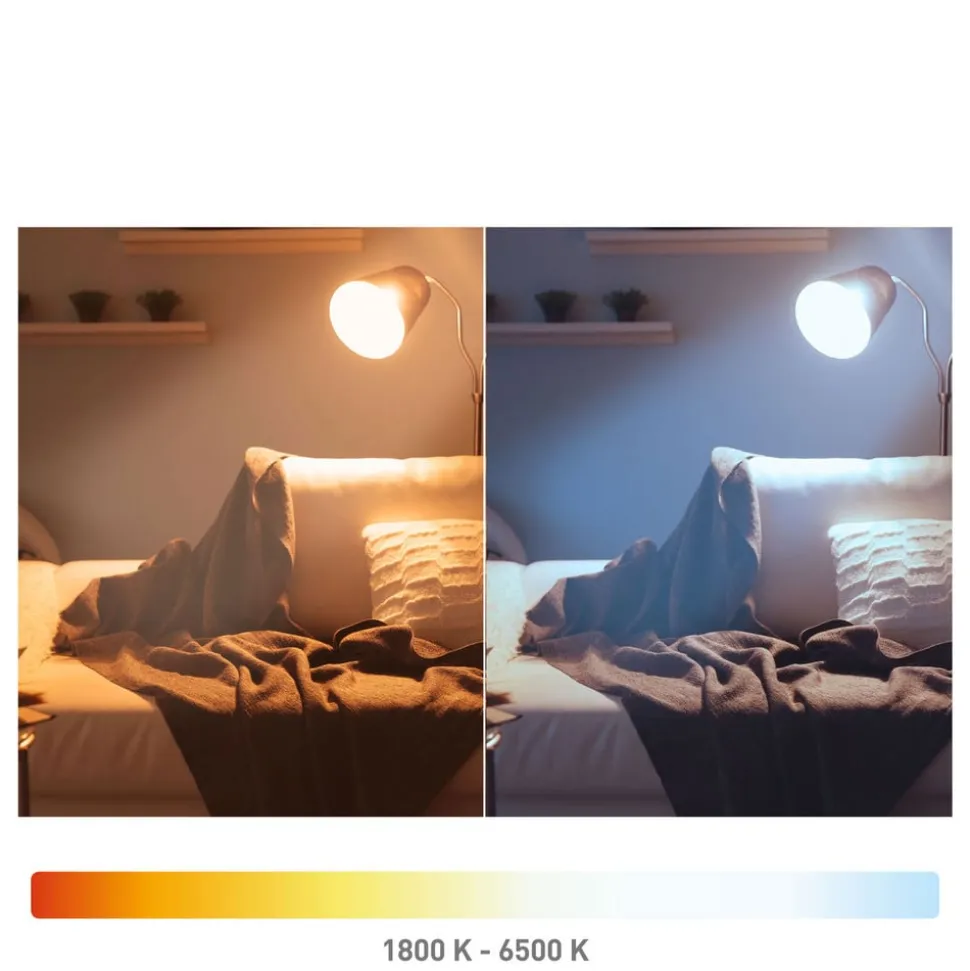 Müller Licht tint LED-globe G95 E27 5,5 W, guld