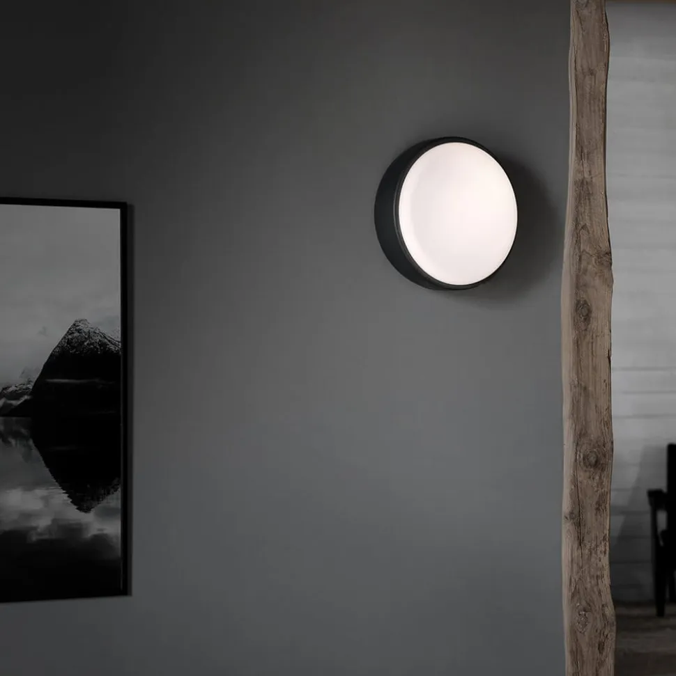 Northern Over Me loftlampe, antracit, 40 cm