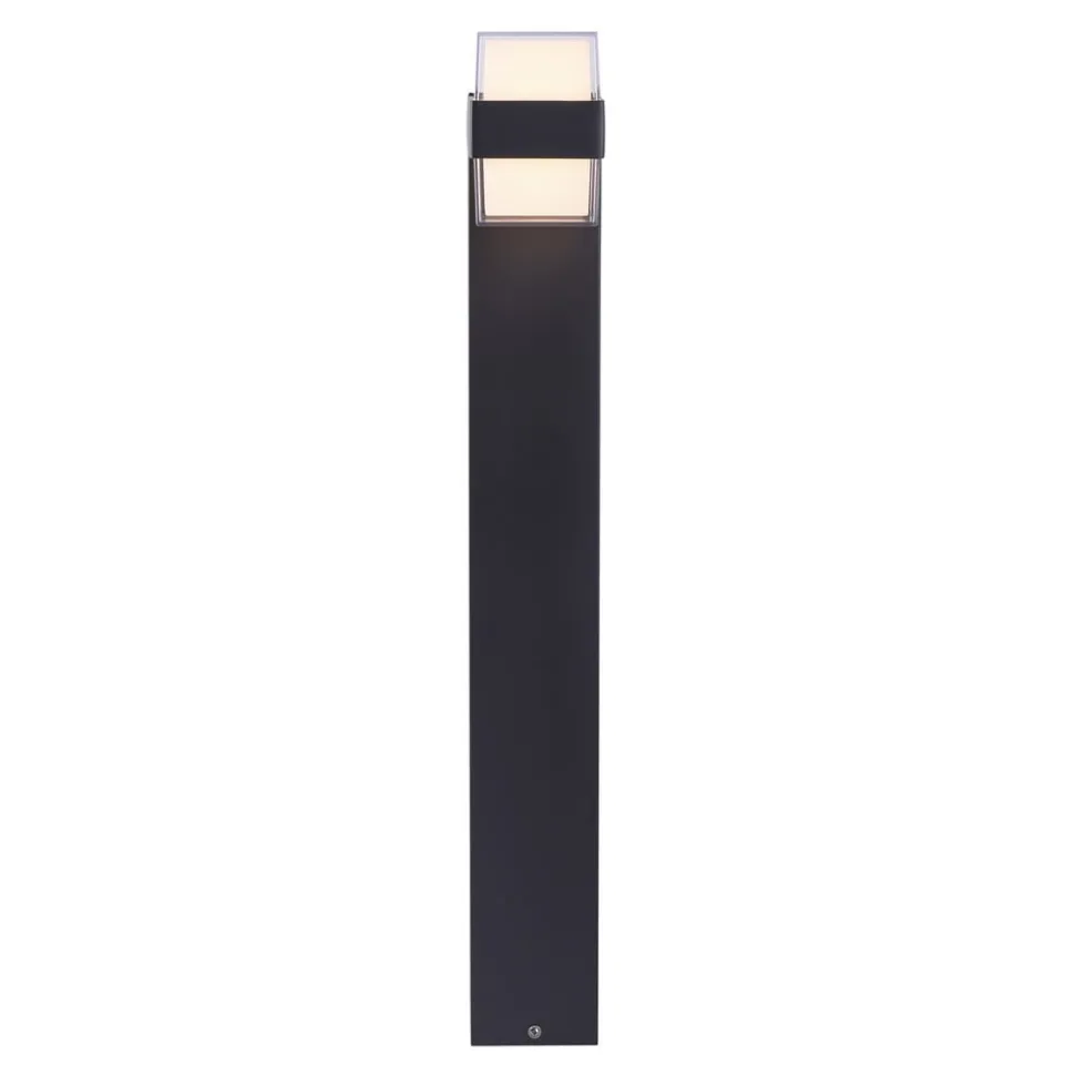 Paul Neuhaus Cara LED-gadelampe, up/down