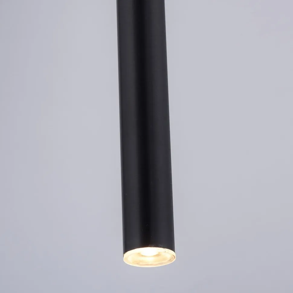 Paul Neuhaus Flute LED-hængelampe 1 lyskilde sort