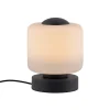 Paul Neuhaus LED-bordlampe Bota, antracit, glas, dæmpbar