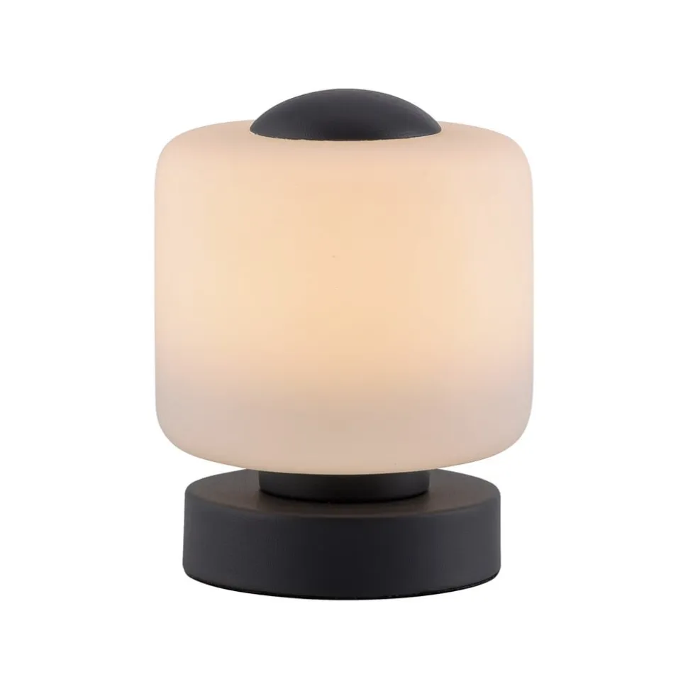 Paul Neuhaus LED-bordlampe Bota, antracit, glas, dæmpbar