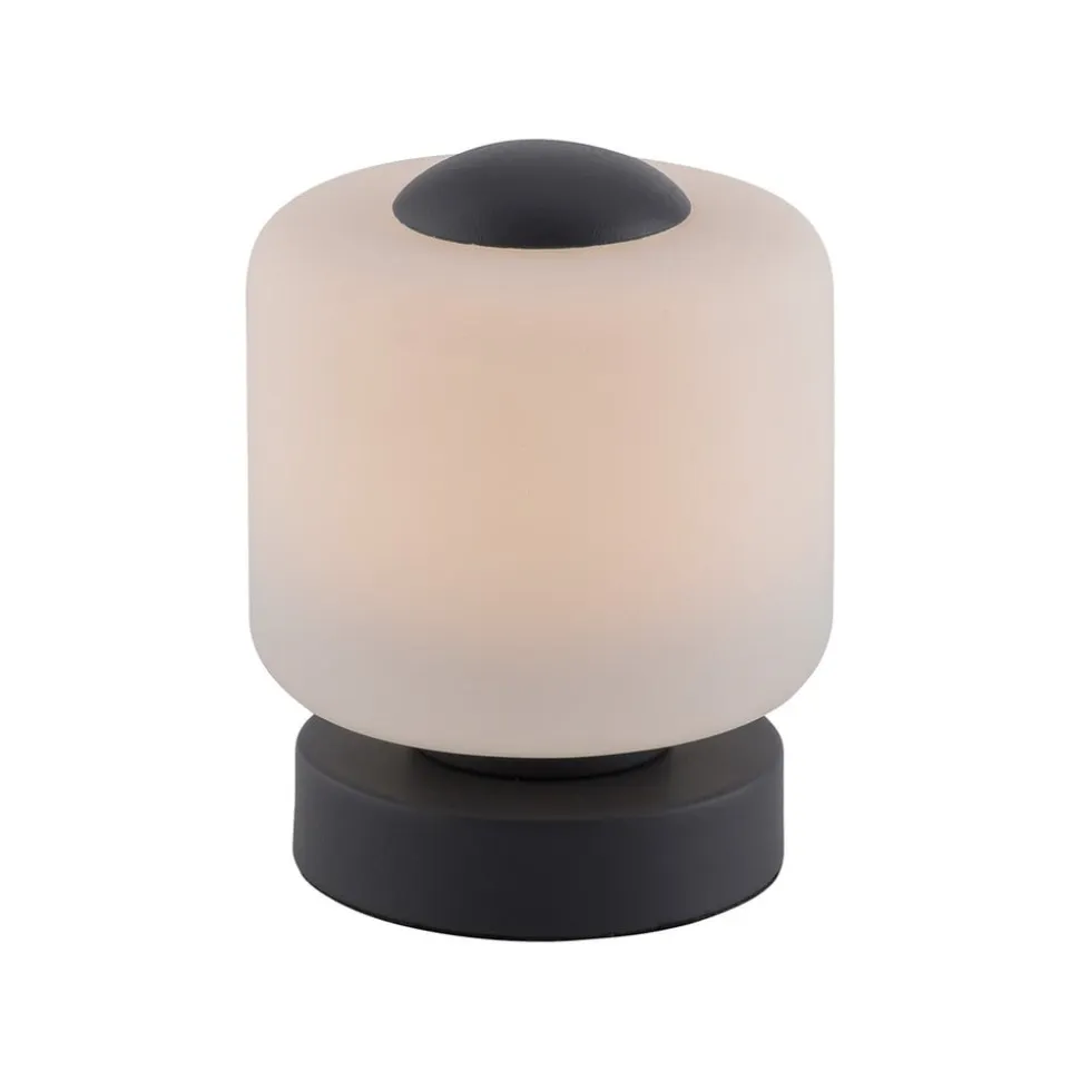 Paul Neuhaus LED-bordlampe Bota, antracit, glas, dæmpbar