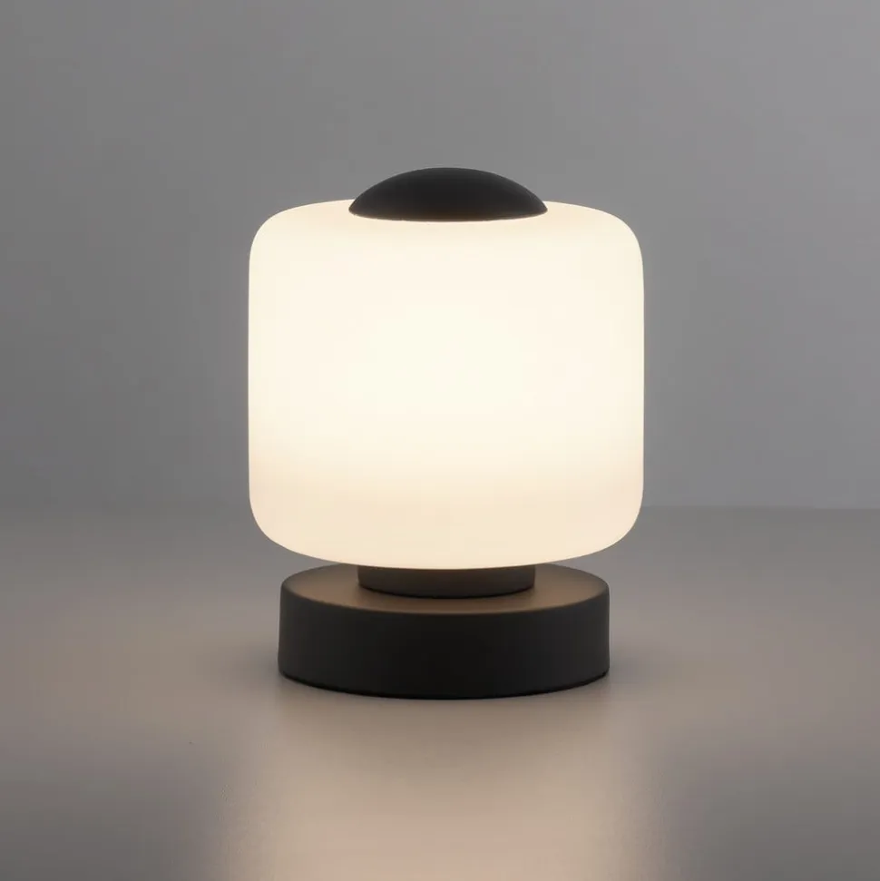 Paul Neuhaus LED-bordlampe Bota, antracit, glas, dæmpbar