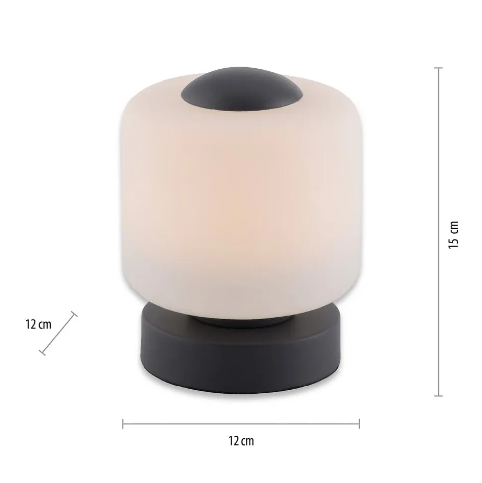Paul Neuhaus LED-bordlampe Bota, antracit, glas, dæmpbar