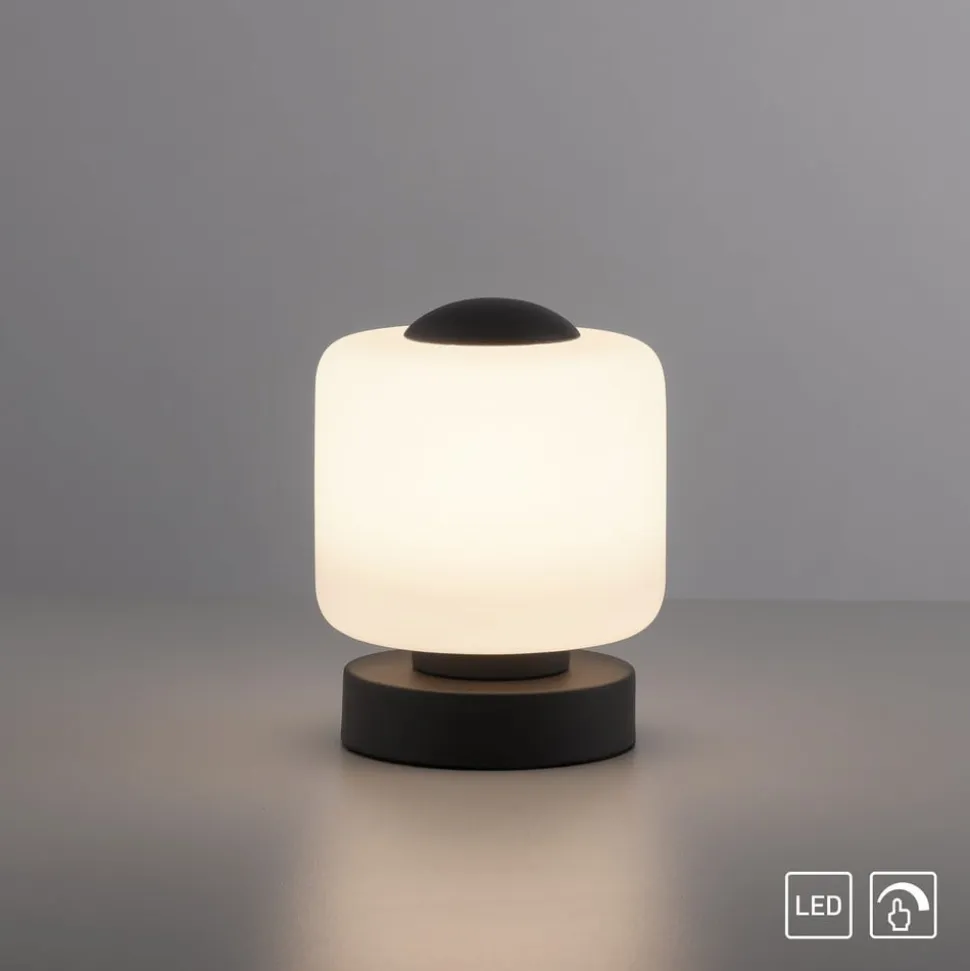 Paul Neuhaus LED-bordlampe Bota, antracit, glas, dæmpbar