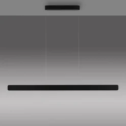 Paul Neuhaus LED-hængelampe Q-Stretto, sort, 120 cm