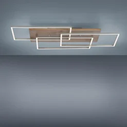 Paul Neuhaus Palma LED-loftlampe CCT ramme