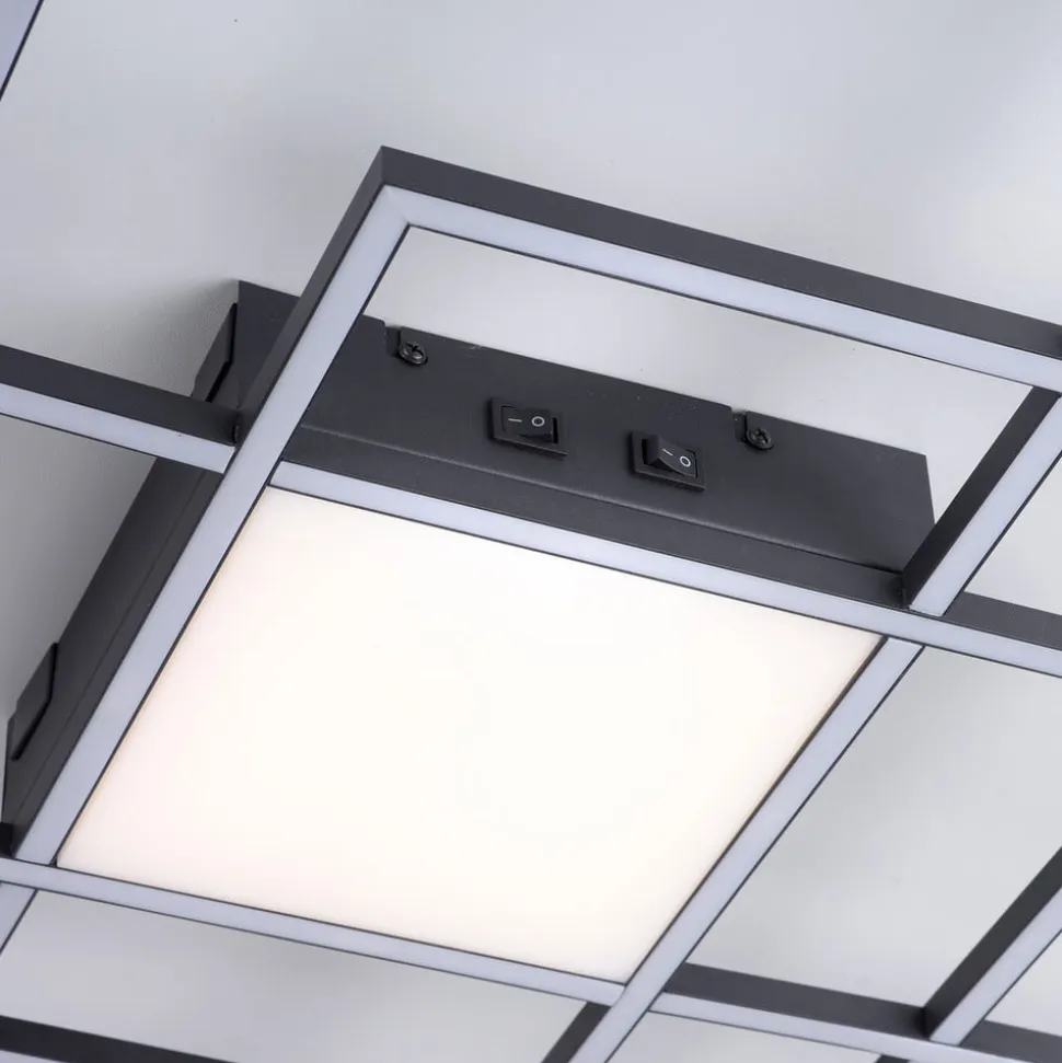 Paul Neuhaus Q-ASMIN LED-loftlampe, 80 x 80 cm
