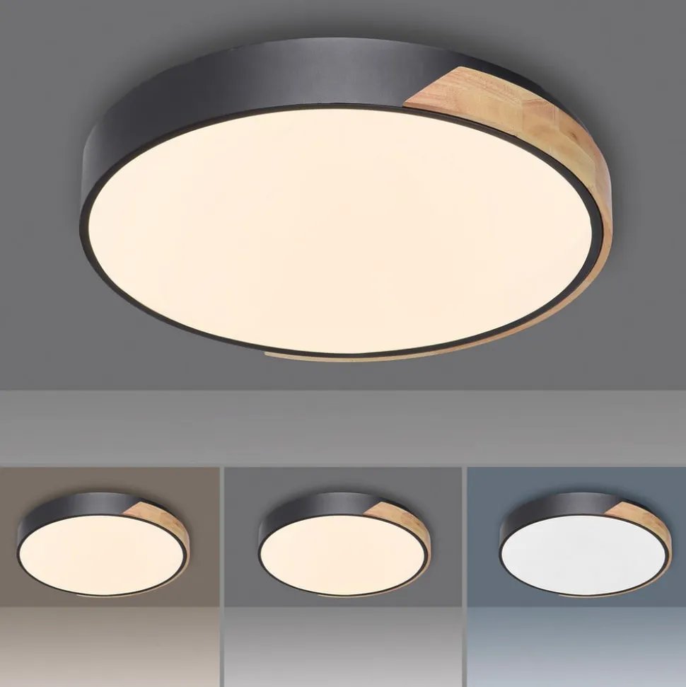 Paul Neuhaus Q-BILA LED-loftlampe, sort/eg