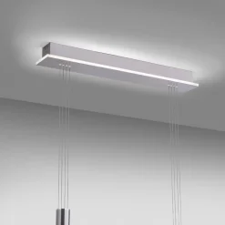 Paul Neuhaus Q-ETIENNE LED-hængelampe, 2 lyskilder