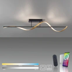 Paul Neuhaus Q-Swing loftlampe antracit/messing