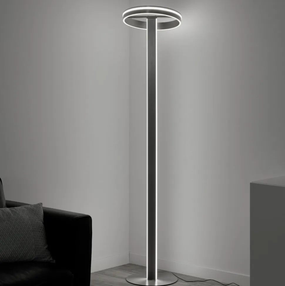 Paul Neuhaus Q-Vito LED-gulvlampe, lige med ring