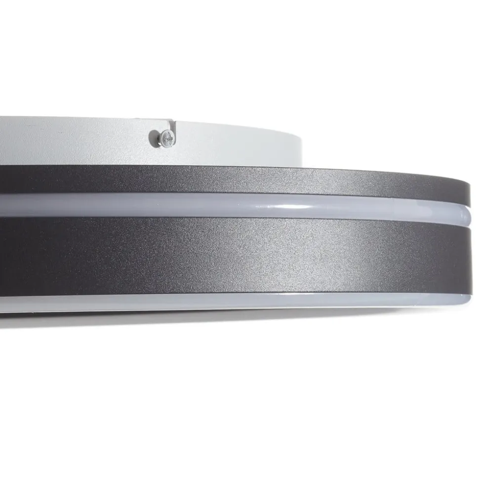 Paul Neuhaus Q-VITO LED-loftlampe 59 cm antracit