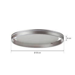 Paul Neuhaus Q-VITO LED-loftlampe 59 cm stål