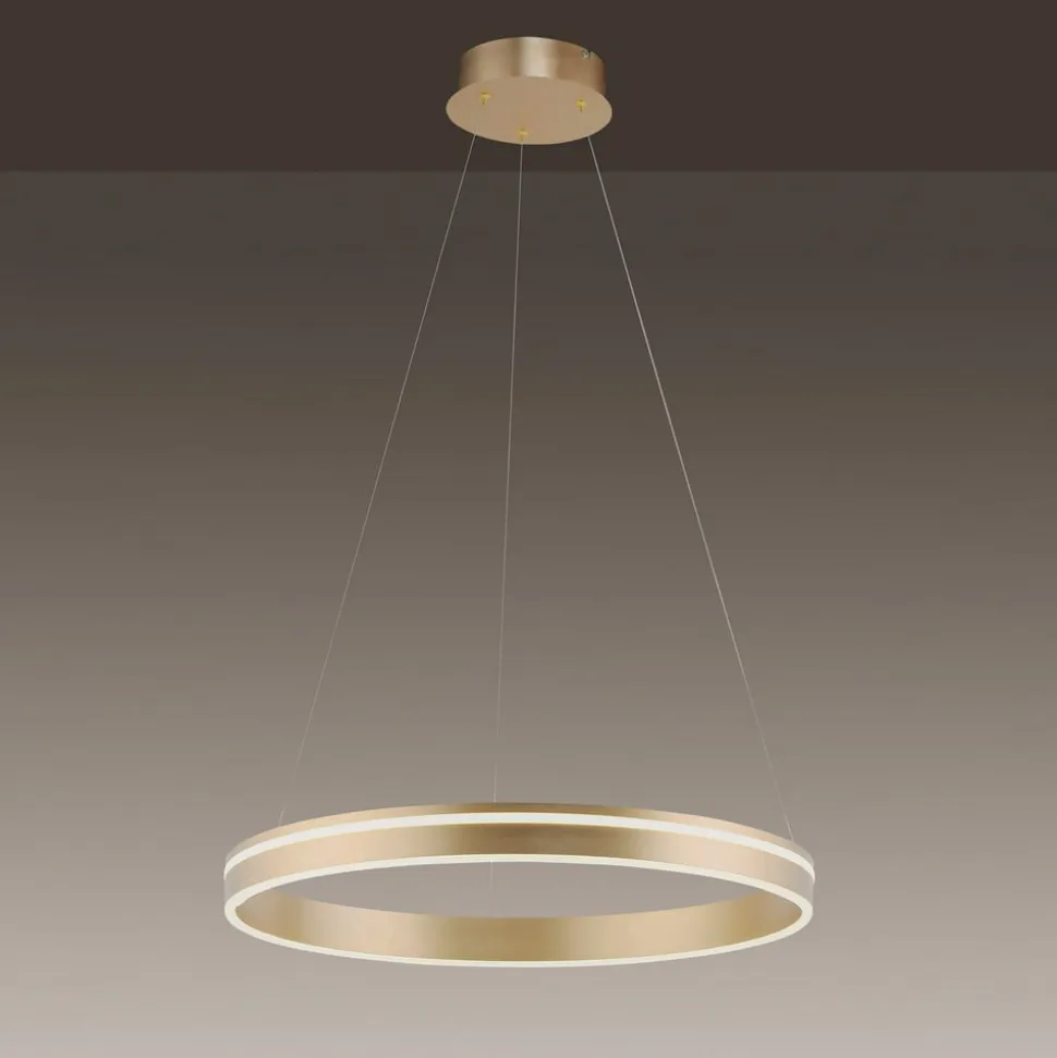 Paul Neuhaus Q-VITO LED-pendellampe, 1 ring