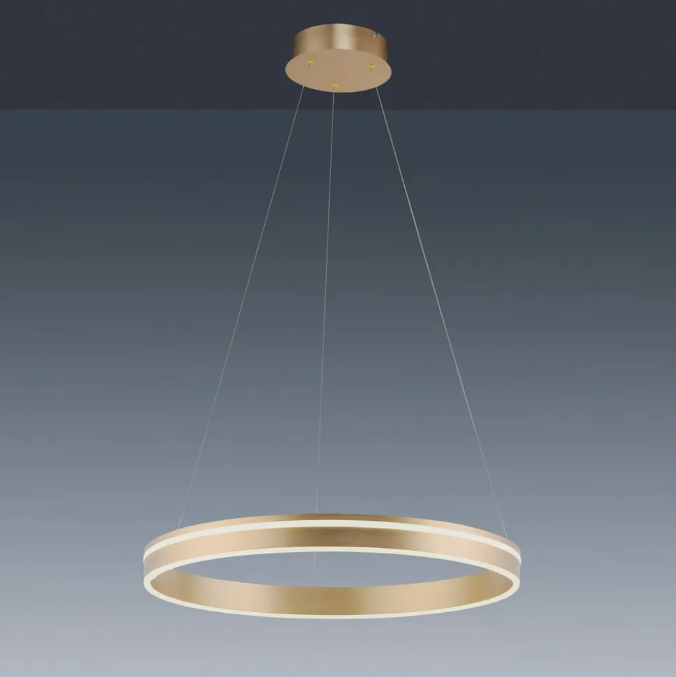 Paul Neuhaus Q-VITO LED-pendellampe, 1 ring