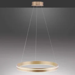 Paul Neuhaus Q-VITO LED-pendellampe, 1 ring