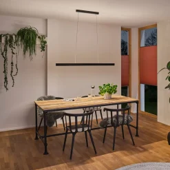 Paulmann Aptare LED-hængelampe, ZigBee, sort
