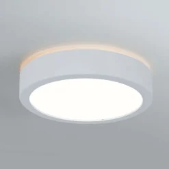 Paulmann Aviar LED-loftlampe Ø 22 cm hvid 4.000 K