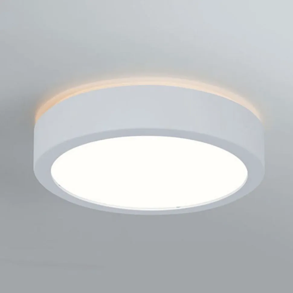 Paulmann Aviar LED-loftlampe Ø 22 cm hvid 4.000 K