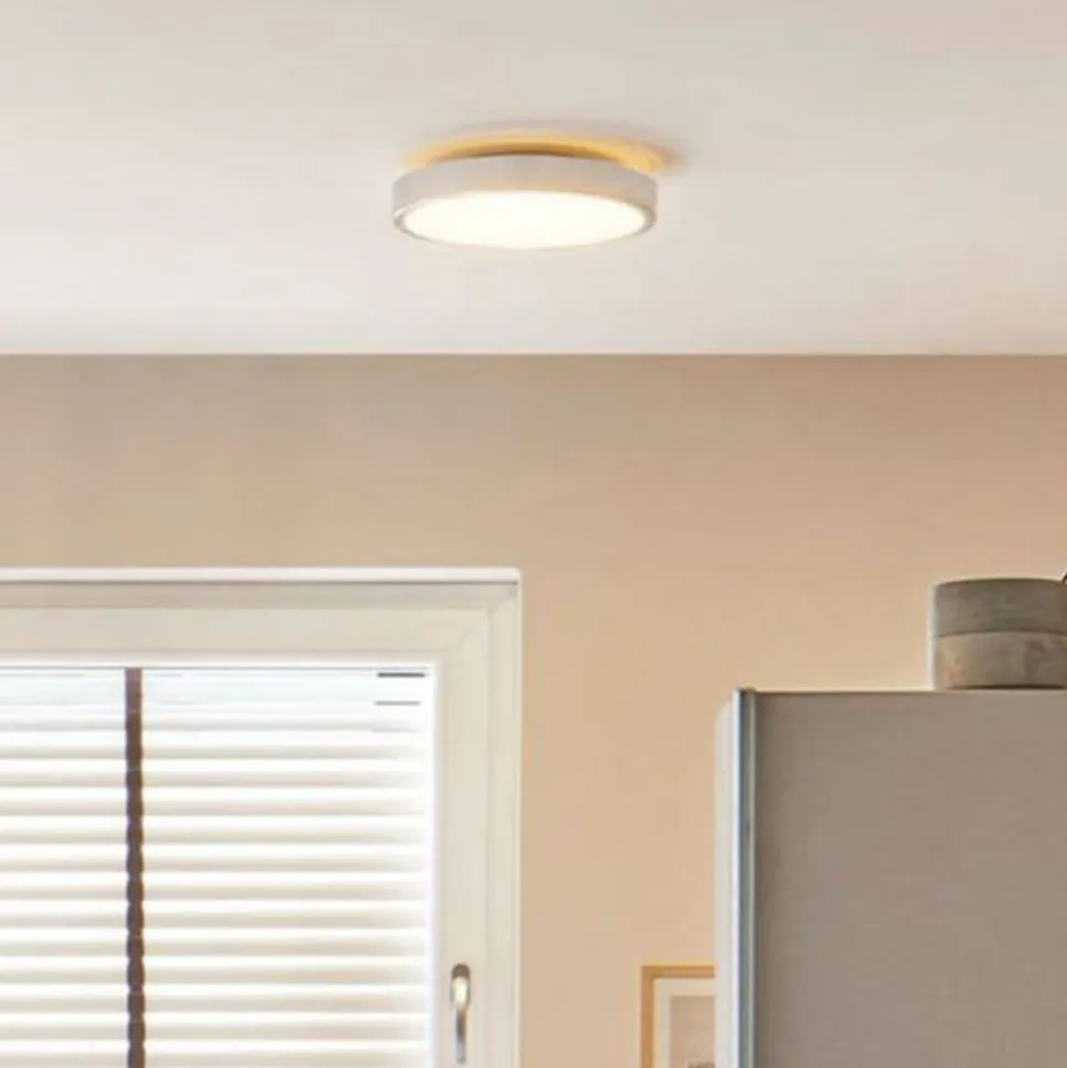 Paulmann Aviar LED-loftlampe, 2.700 K Ø 30 cm krom